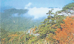 徳島・剣山