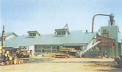 旭川・製材工場